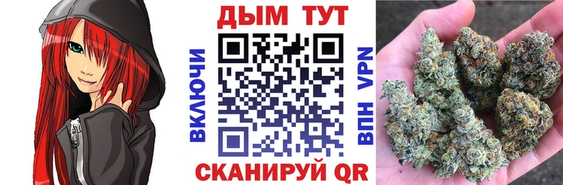 Какие есть наркотики Шадринск ГАШ  Марихуана  Alpha PVP  АМФЕТАМИН  Cocaine  Мефедрон 
