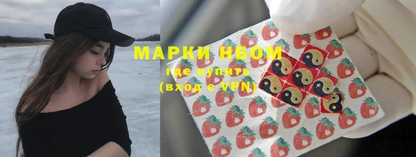 прущий лед Ладушкин