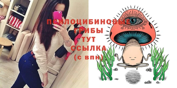 трава Лабытнанги