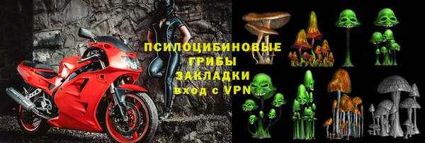 соль ск Лиски