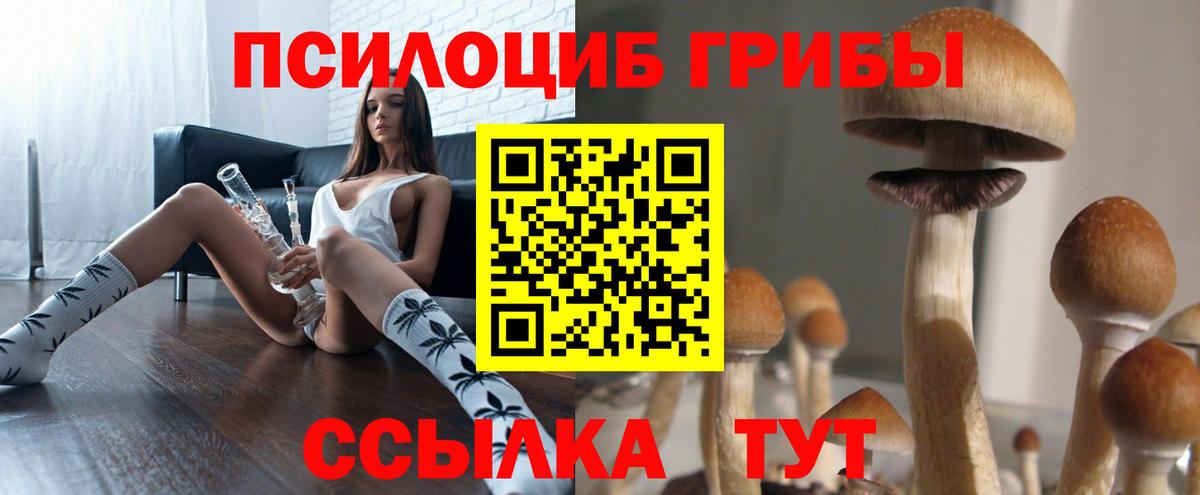 Галлюциногенные грибы мицелий  купить закладку  Шадринск  Вход с VPN 